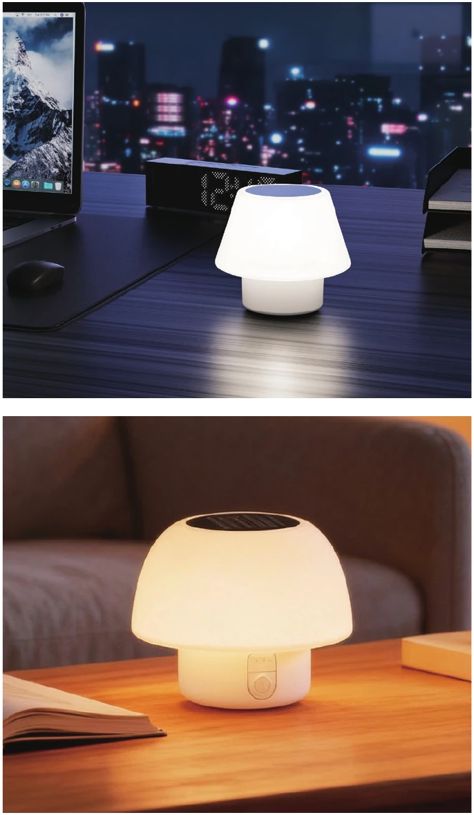 Solar Desk Lamp view 2