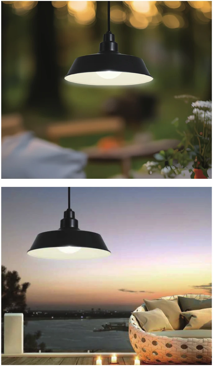 Pendants & Portable lighting