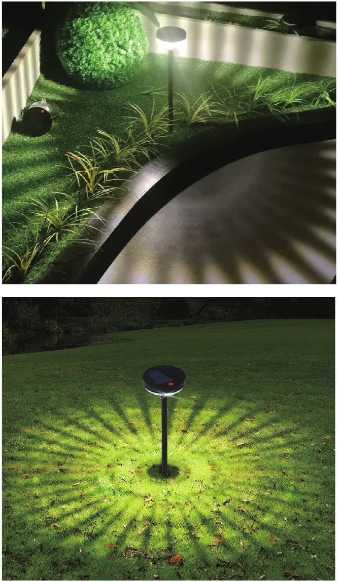 Solar Garden Path Light view 2
