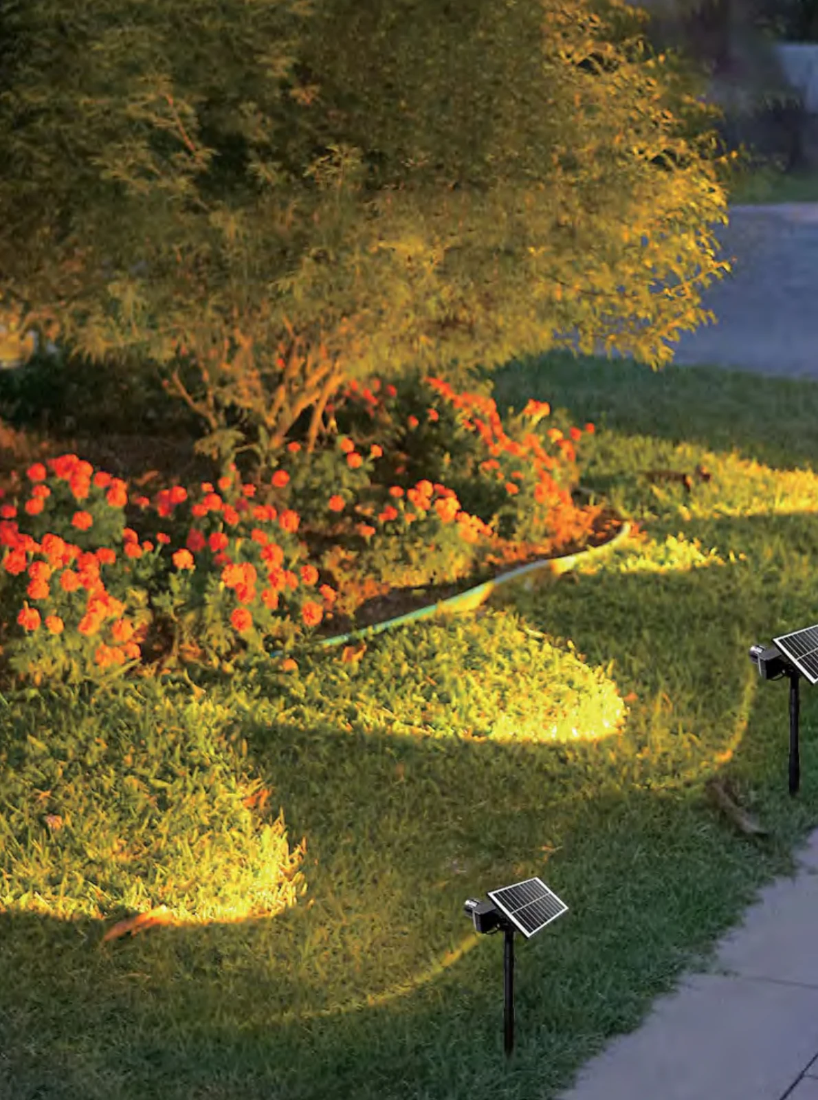 Garden & Path lighting